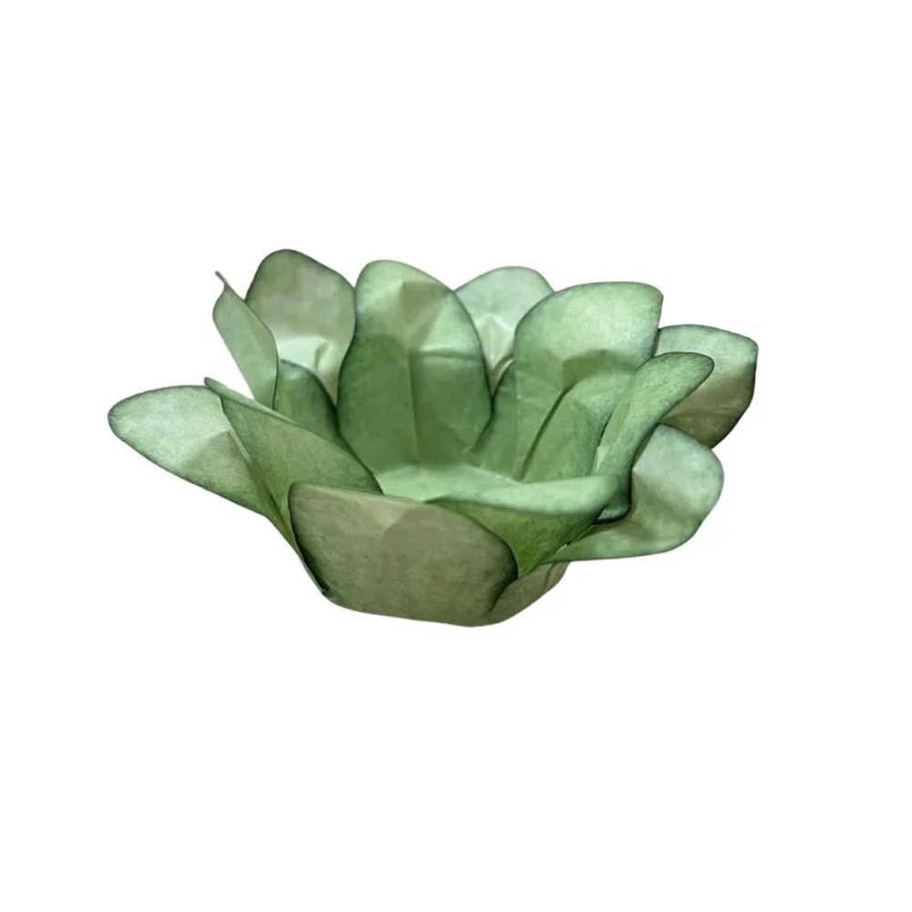 Forminha Lirio C/40 Pistache Claro