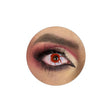 Imagem ERP 10645
