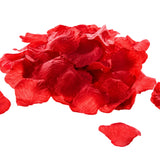 Imagem ERP 7501
