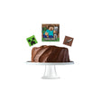 Imagem ERP 11602
