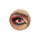 Imagem ERP 10645