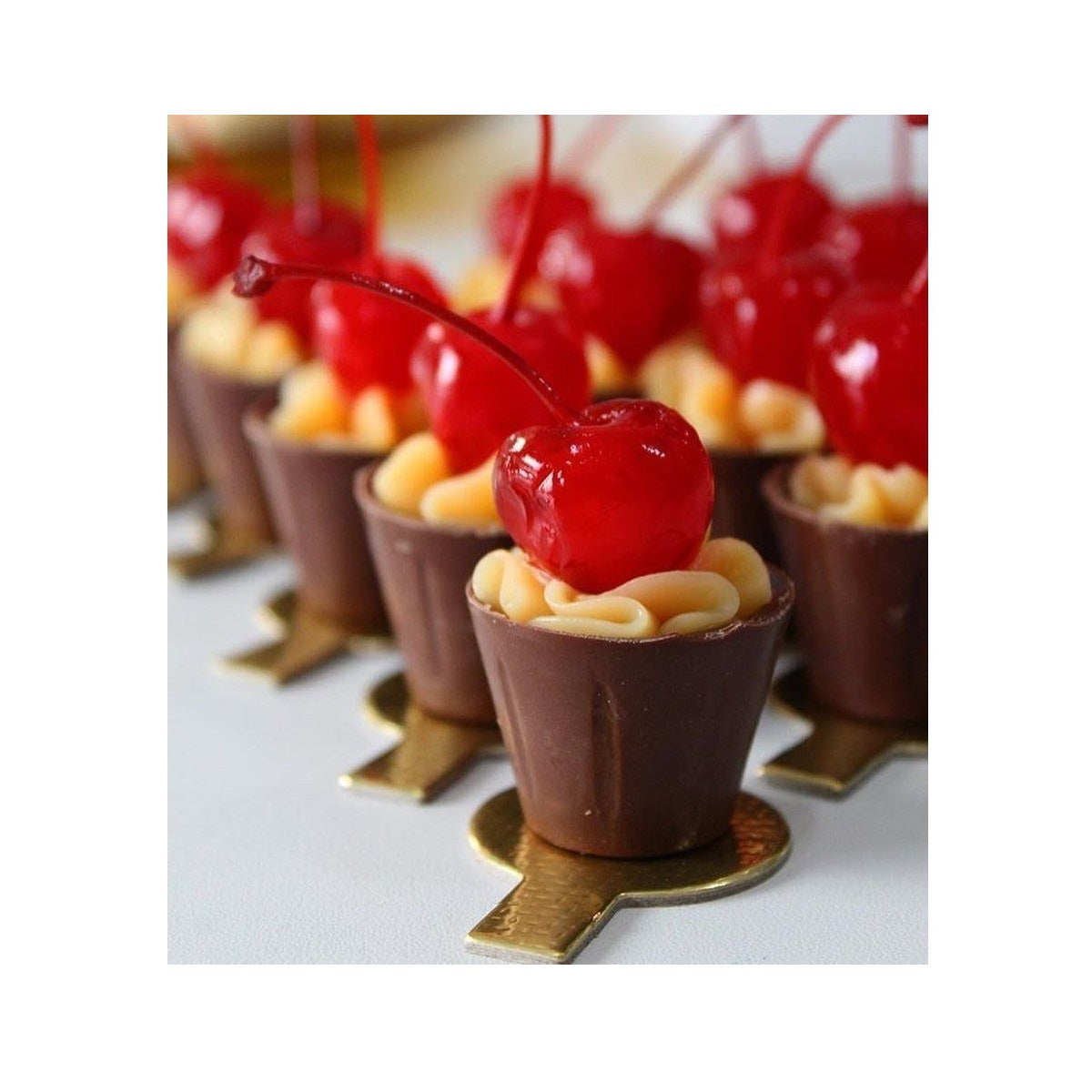 Imagem ERP 1152