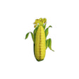 Imagem ERP 4595