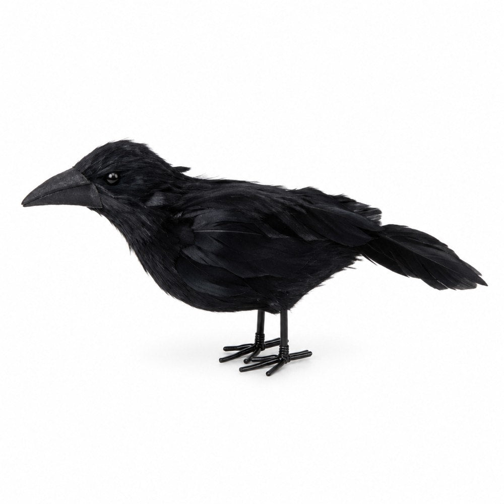 Corvo de Penas 25cm
