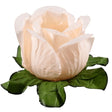 Forminha Princesa C/30 Creme