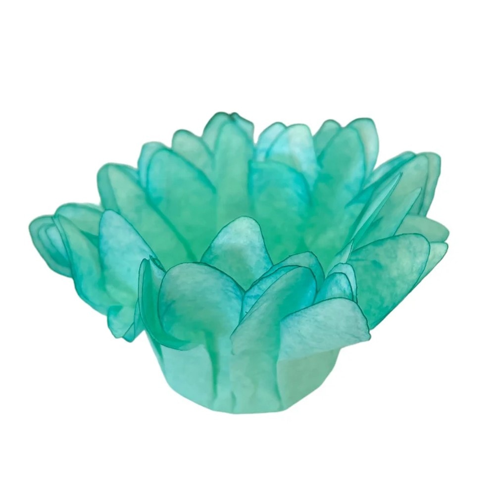 Forminha Melissa C/30 Verde Agua