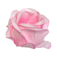 Forminha Princesa C/30 Rosa Bebe