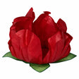Forminha Stylo C/25 Vermelho